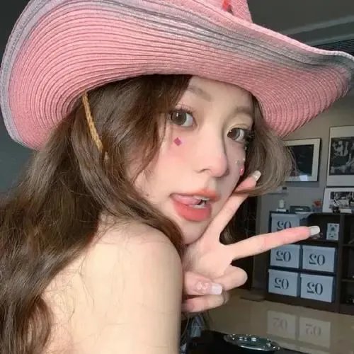 烟花女驼龙